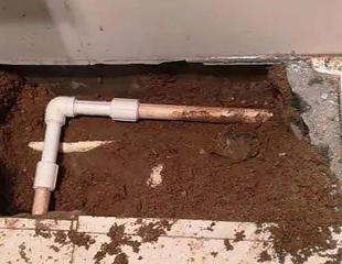 华龙测漏水哪家好