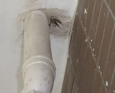 华龙漏水检测哪家好